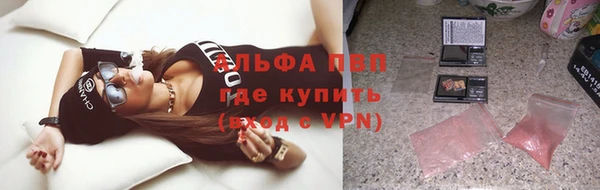 стаф Осинники