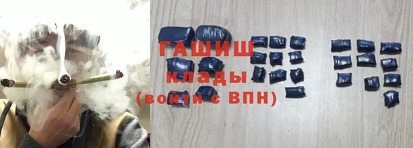 стаф Осинники