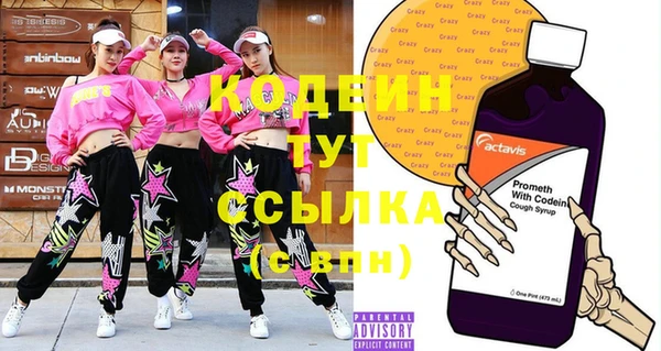 стаф Осинники