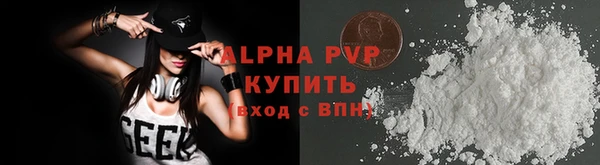 стаф Осинники
