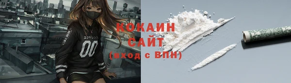 стаф Осинники