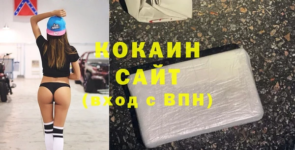 стаф Осинники