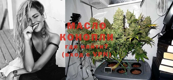стаф Осинники