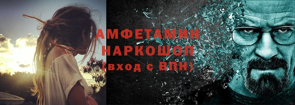 стаф Осинники