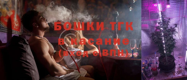стаф Осинники