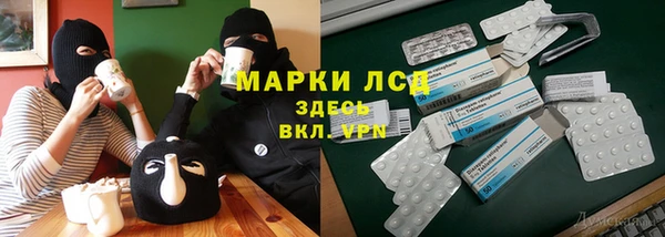 стаф Осинники