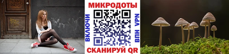 Купить где  Полтавская  Псилоцибиновые грибы MAGIC MUSHROOMS 